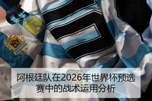a-gen-ting-dui-zai-nian-shi-jie-bei-yu-xuan-sai-zhong-de-zhan-shu-yun-yong-fen-xi-2-560.jpg