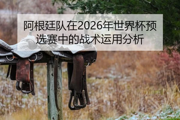 阿根廷队在2026年世界杯预选赛中的战术运用分析