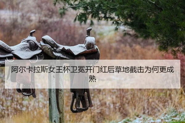 a-er-ka-la-si-nv-wang-bei-wei-mian-kai-men-hong-hou-cao-di-jie-ji-wei-he-geng-cheng-shu-2-137.jpg