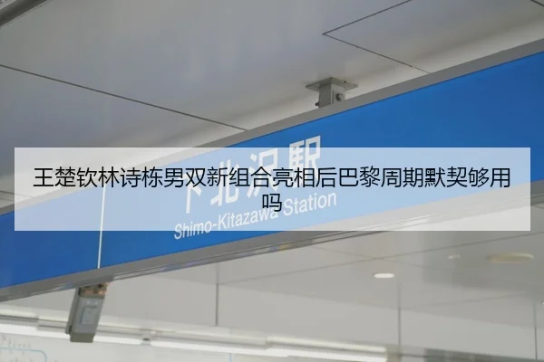 wang-chu-qin-lin-shi-dong-nan-shuang-xin-zu-he-liang-xiang-hou-ba-li-zhou-qi-mo-qi-gou-yong-ma-2-403.jpg