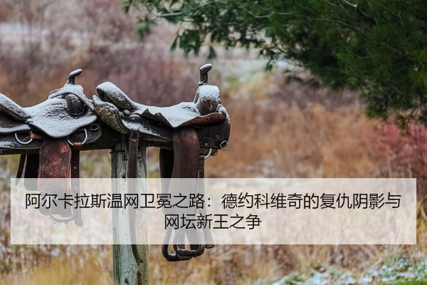 a-er-ka-la-si-wen-wang-wei-mian-zhi-lu-de-yue-ke-wei-qi-de-fu-chou-yin-ying-yu-wang-tan-xin-wang-zhi-zheng-2-716.jpg