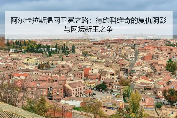 a-er-ka-la-si-wen-wang-wei-mian-zhi-lu-de-yue-ke-wei-qi-de-fu-chou-yin-ying-yu-wang-tan-xin-wang-zhi-zheng-3-642.jpg