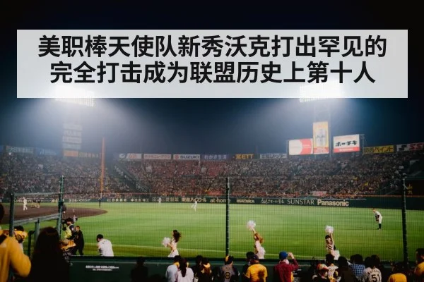 baseball stadium night game