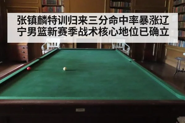 张镇麟特训归来三分命中率暴涨辽宁男篮新赛季战术核心地位已确立